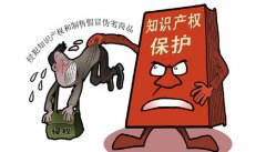 知識產(chǎn)權(quán)保護對于一個國家的意義到底在哪里？