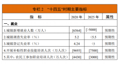 重磅！《人力資源和社會保障事業(yè)發(fā)展