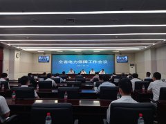 遼寧、吉林發聲：最大可能避免拉閘限電！